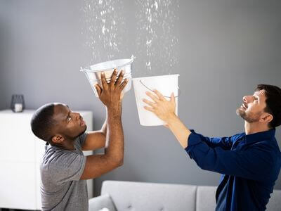 About BacktoNormal - mold remediation experts in Bel Air