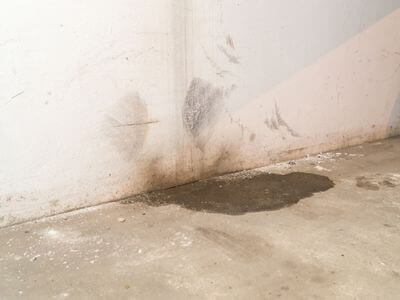 Professional mold remediation services in Bel Air